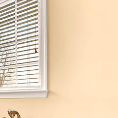 Window with white horizontal blinds beside a pale wall