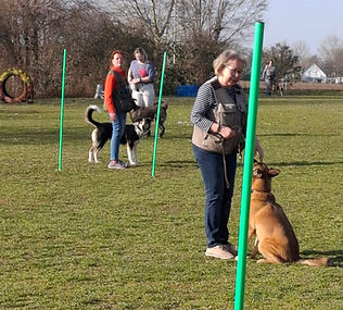 Übungsstunde Basistraining