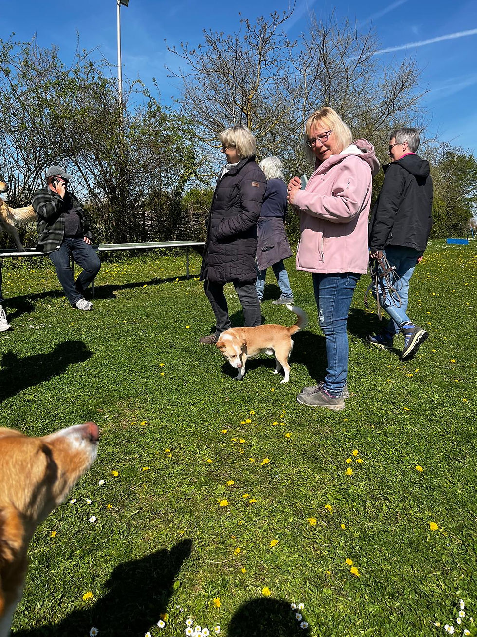 Hundewiese