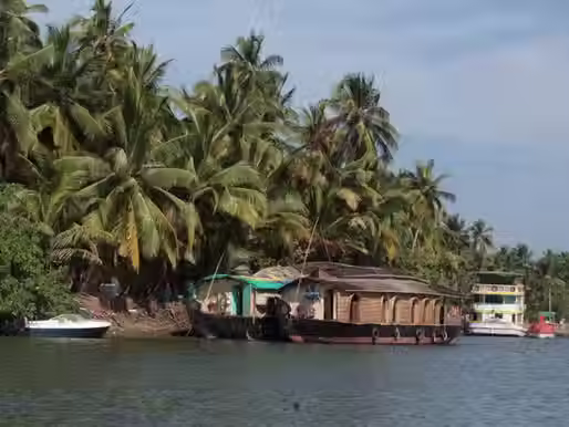 संस्कृती आणि विज्ञान