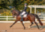 #376 Rachael Hicks & Don Cartier-40