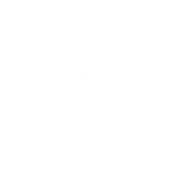 X Sito WEB (6).png
