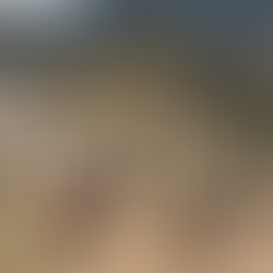 La disputada conquista del Perú