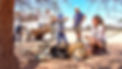 Screenshot 2022-11-16 at 10.37.29.jpg
