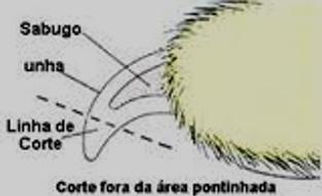 unha1.jpg