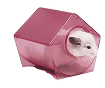 banheira-chinchila.png