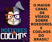 canal-de-videos-sobre-roedores-e-coelhos