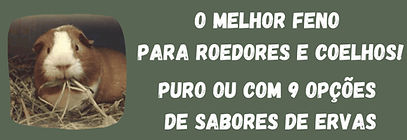 Banner-O-melhor-feno_edited.jpg