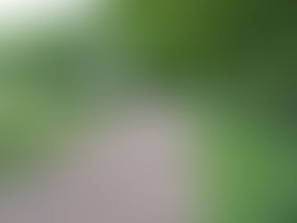 10.000€ für die Reitwegesanierung