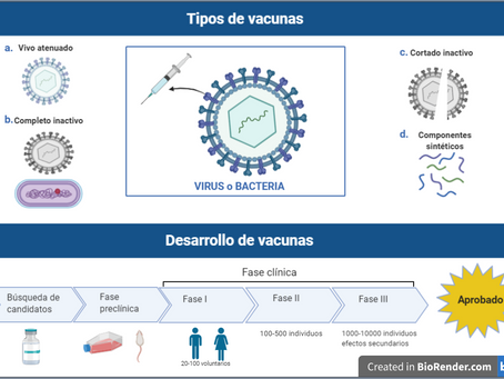 ¿Por qué necesitamos vacunarnos?