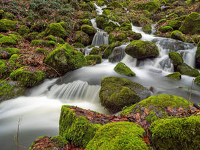 Burnout-Prävention Rosenheim, Körperpsychotherapie, Praxis für Psychotherapie Rosenheim Patrick Georg