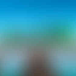 Christmas Day Holiday Design by Drica Lobo