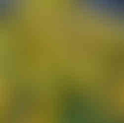 art and travel inspiration