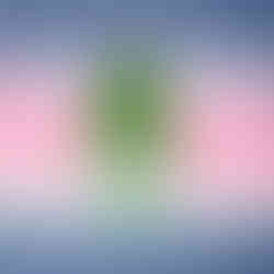 Christmas Day Holiday Design by Drica Lobo