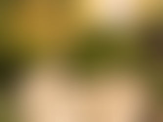 Midnight Magic: Tips for a Safe and Sparkling New Year's Eve!