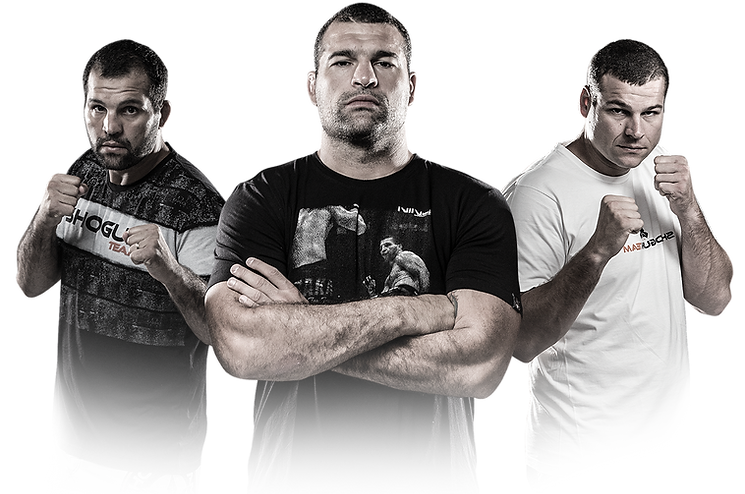 SHOGUN_TEAM_TRANSPARENTE (1).png