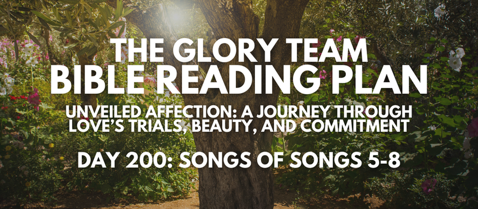 Unveiled Affection: A Journey Through Love’s Trials, Beauty, and Commitment