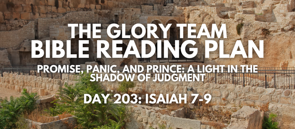 Promise, Panic, and Prince: A Light in the Shadow of Judgment