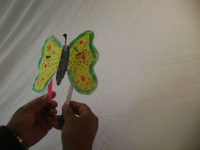 Vuela Mariposa