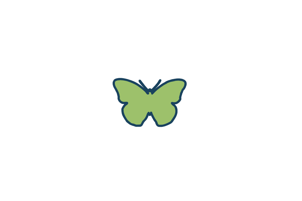 Papillon 2