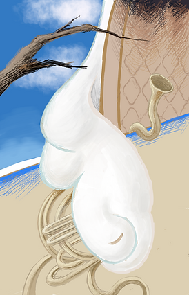 Untitled_Artwork 8.png