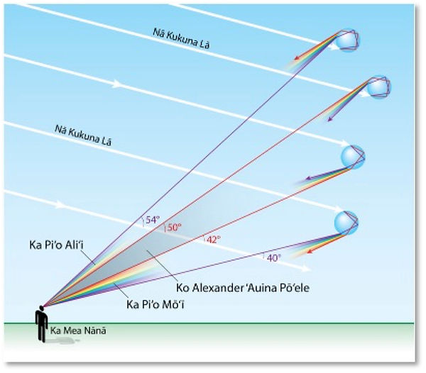Palua 6.jpg