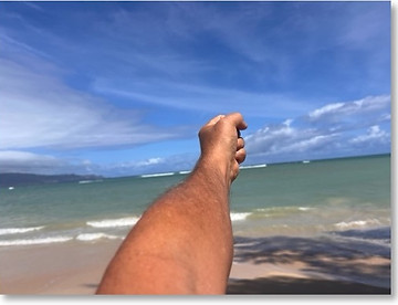 puulima 2.jpg