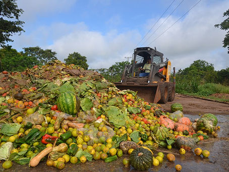 A terrÃvel prática de desperdiçar alimentos