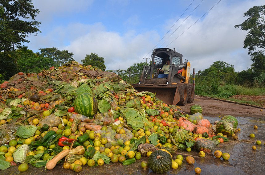 A terrível prática de desperdiçar alimentos