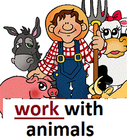 work with animals