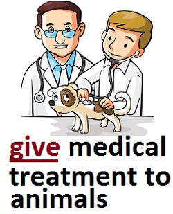give medical treatment to animals