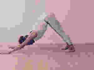 Downward dog pose