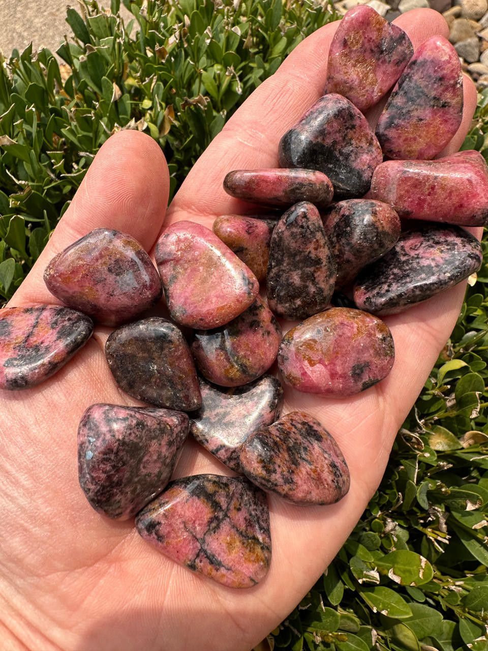 Tumbled Rhodonite