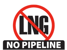 Screen Shot 2019-08-20 at 7.24.27 PM.png