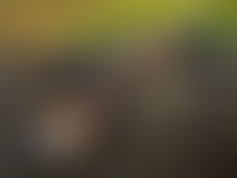 Внесены изменения в Федеральный закон "Об оружии"