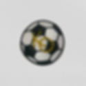 Soccer Ball Cookies