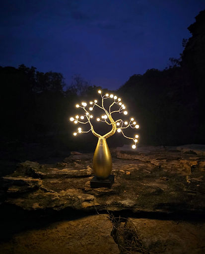 the boab lamp