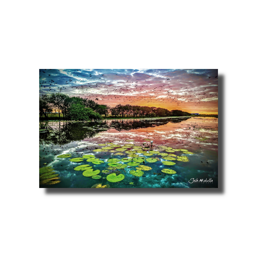 Thumbnail: Kimberley Postcards