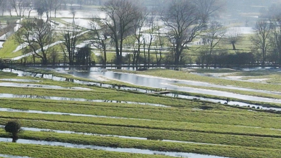 Millennium Green AGM: Harnham Water Meadows presentation