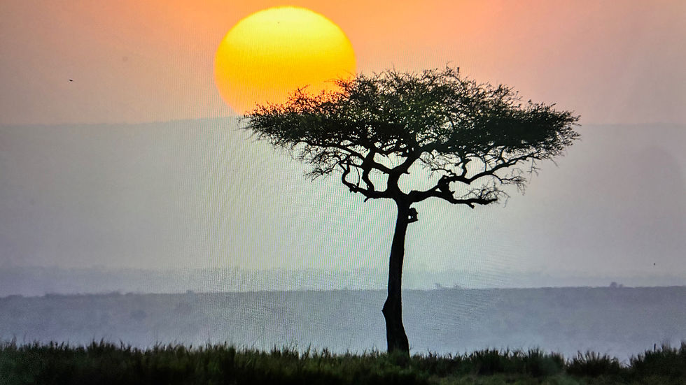 Photographs of Africa