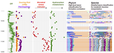 BIOTA DNA - HRP LogScope