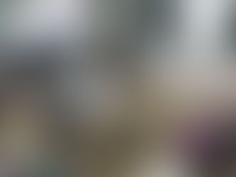 Obilježavanje Europskog dana jezika