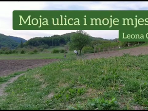 Projekt “Moja ulica i moje mjesto”