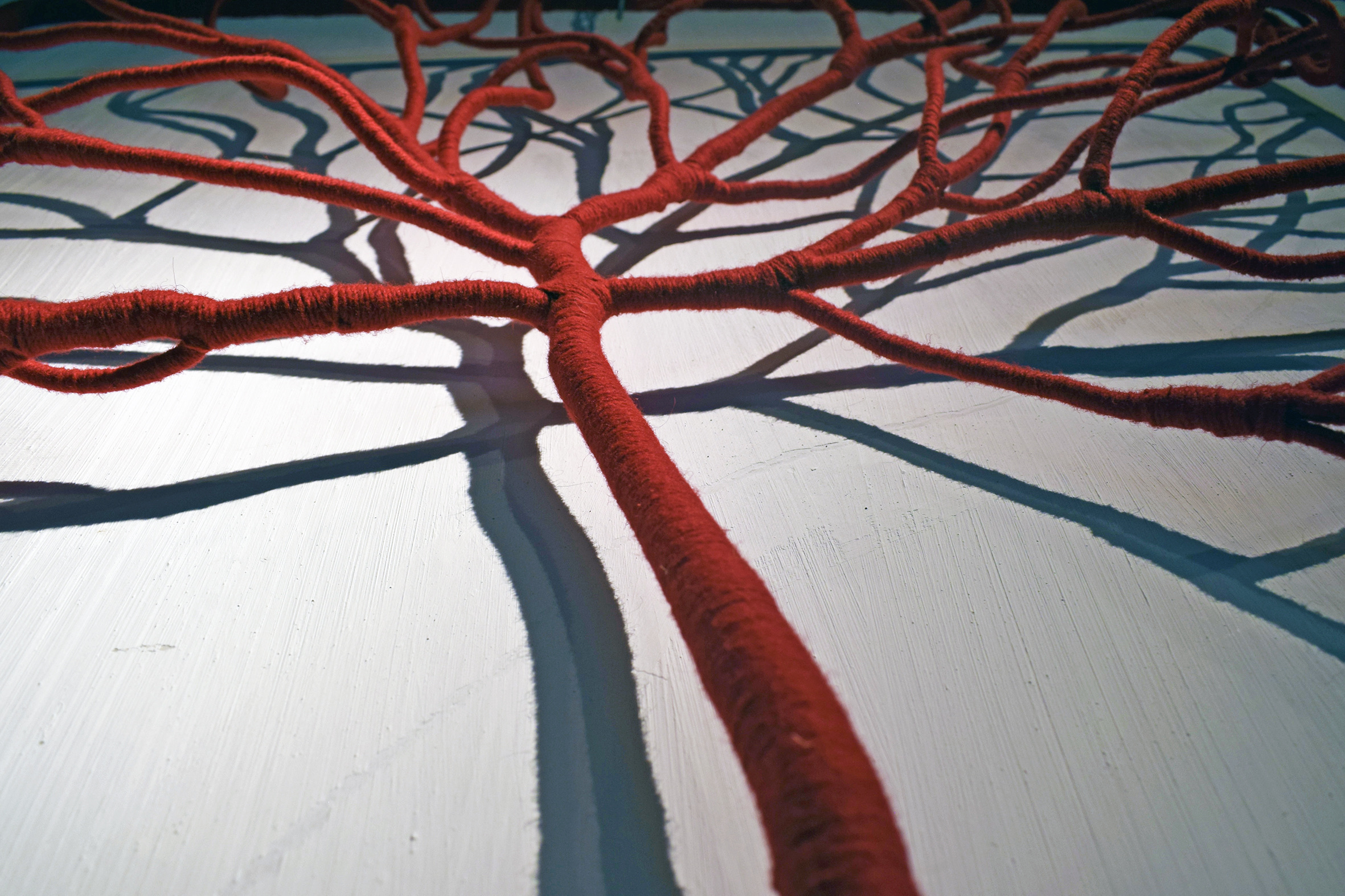 VEINS 2020 | ROOTS Series