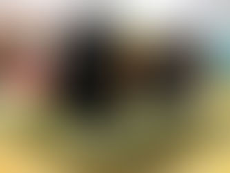 Piccoli Pommy! Fratellini Pomerania!