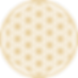 ZOI LOGO