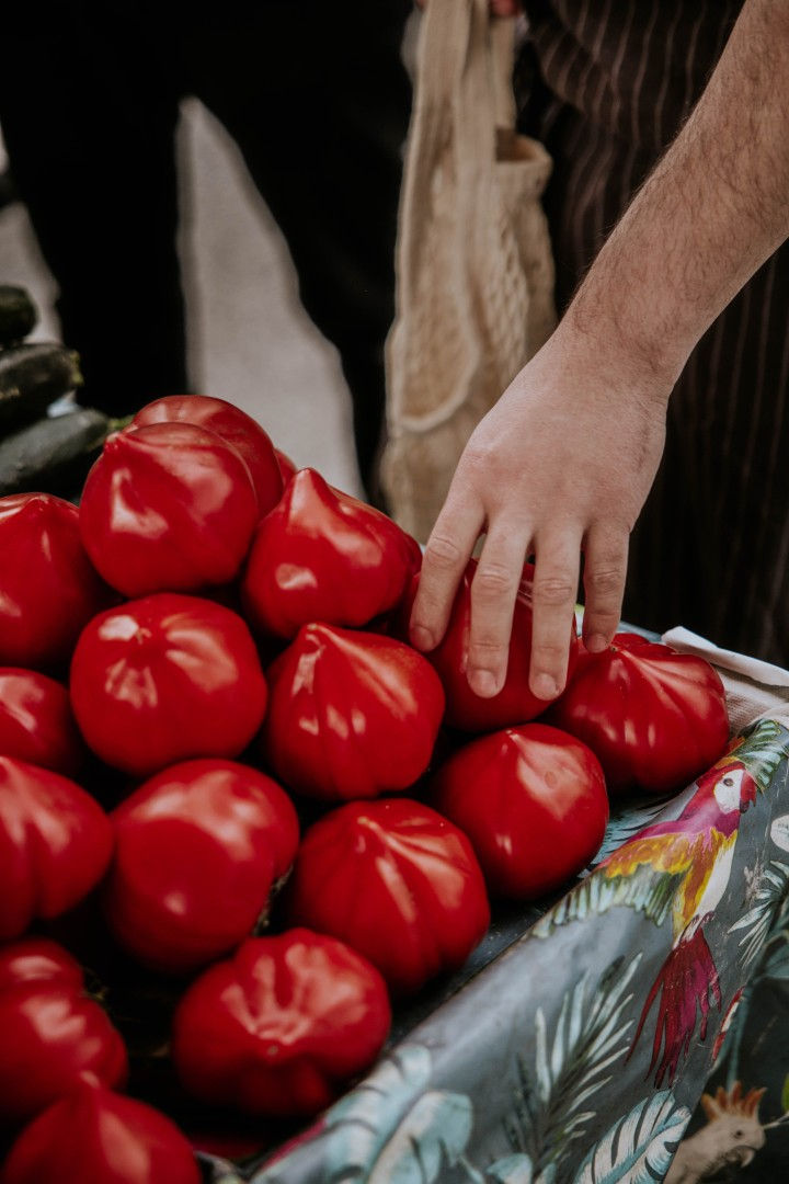 zoi fresh ingredients from Pazar market
