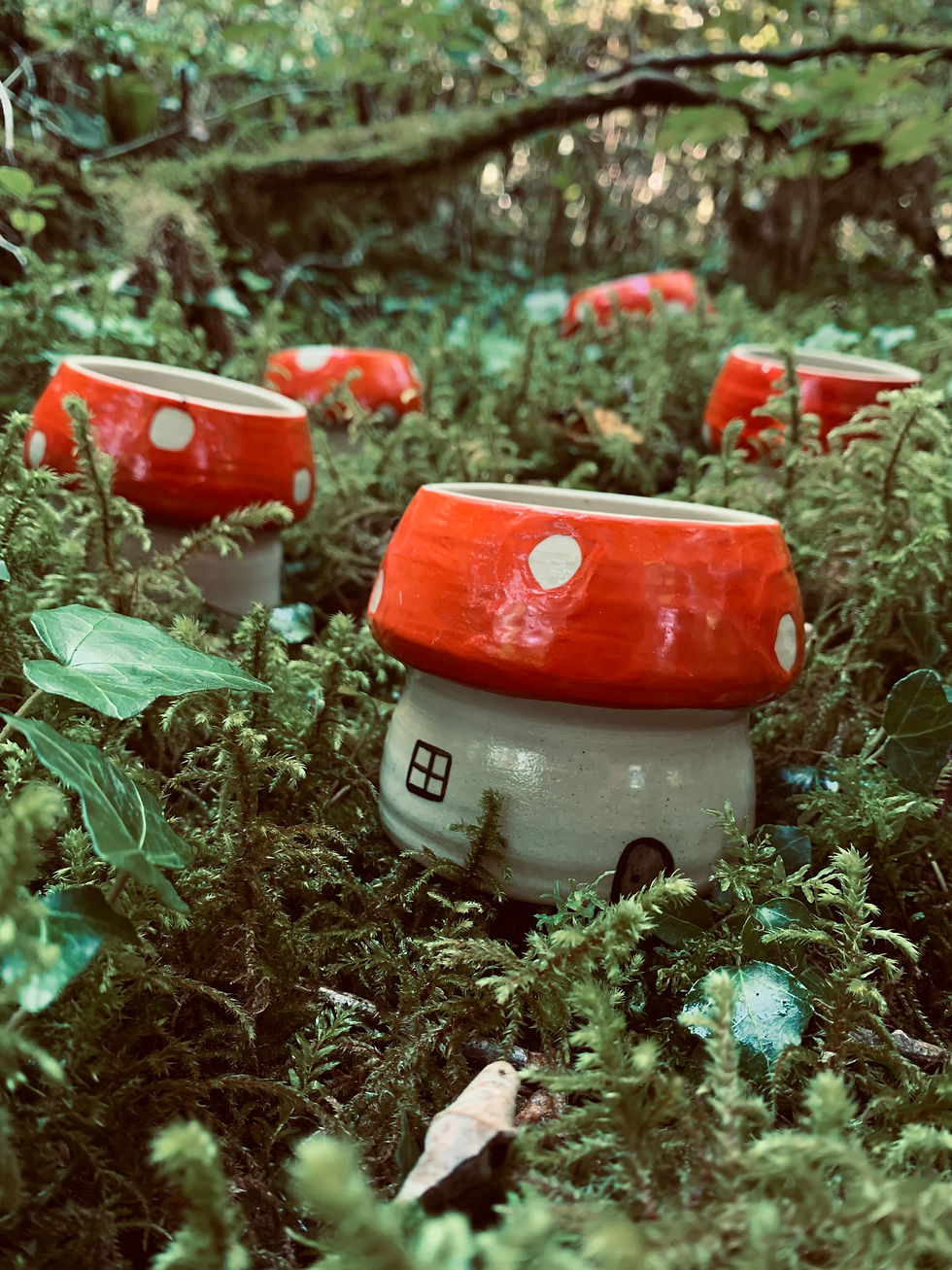 Miniature : Box Automnale