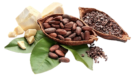 Benefits-of-cacao-nibs-removebg-preview.png