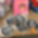 E5E4F6BC-C4E8-45CD-9FDD-783EAF781058.jpeg